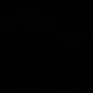 Meet your Posher, Oscar